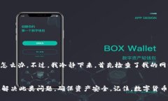 在使用 TPWallet App 时，若你发现屏幕上出现感叹号