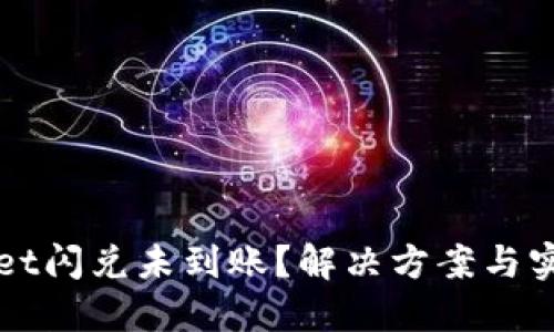 TPWallet闪兑未到账？解决方案与实用指南