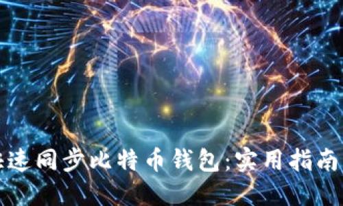 如何快速同步比特币钱包：实用指南与技巧