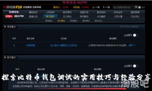 探索比特币钱包调试的实用技巧与经验分享