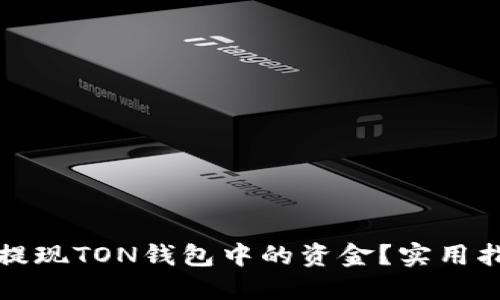 如何轻松提现TON钱包中的资金？实用指南与技巧