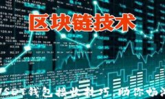 轻松掌握USDT钱包接收技巧，助你畅游加密世界