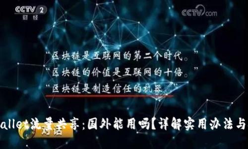 TPWallet流量共享：国外能用吗？详解实用办法与技巧