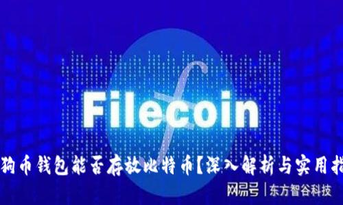 狗狗币钱包能否存放比特币？深入解析与实用指导