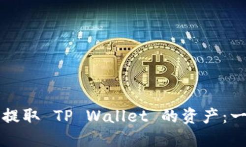 如何高效提取 TP Wallet 的资产：一步步指导