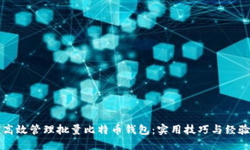 如何高效管理批量比特币钱包：实用技巧与经验分享
