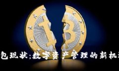 Token钱包现状：数字资产管理的新机遇与挑战