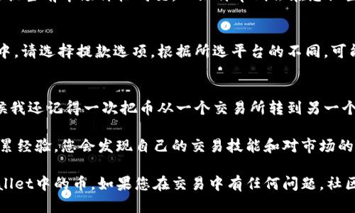 要卖出TPWallet中的币，您可以通过以下几个步骤进行操作。在开始之前，请确保您了解数字货币交易的一些基本知识，并确保您使用的是安全、信誉良好的交易平台。

第一步：选择交易平台
在您开始交易之前，您需要选择一个支持您所持有的TPWallet中的币种（例如：TP）进行交易的平台。这可以是一个中心化交易所，比如币安（Binance）、火币（Huobi）等，也可以是去中心化交易所（DEX），比如Uniswap、PancakeSwap等。您需要确认所选平台支持TPWallet中的币的交易。

第二步：创建交易账户
如果您选择的是中心化交易所，您需要创建一个账户并完成KYC（身份验证）流程。确保您提供的所有信息准确无误，以避免在提款或交易中遇到麻烦。对于去中心化交易所，您只需要一个加密钱包，不需要额外的注册步骤。

第三步：将币转入交易所
在交易平台创建账户后，您需要将TPWallet中的币转入所选的交易平台。找到所持币种的充值地址，并确保您准确无误地复制并粘贴到TPWallet的转账页面。请注意，有些币种可能会有最小提现限制或者需要支付一定的手续费。

第四步：下单出售币种
币转入成功后，您可以找到您所持币种的交易对（例如：TP/USDT）。选择是市价单还是限价单出售您的币。市价单会立即根据当前市场价格成交，而限价单则会在您设置的价格达到时交易。若您急于出售，可以选择市价单；而如果您对价格有需求，则选择限价单。

第五步：完成交易并提现
一旦您的交易完成，您会在账户上看到您的法币或其他加密资产。如果您希望将这些资产提取到您的银行卡或其他钱包中，请选择提款选项。根据所选平台的不同，可能会有不同的提款方式和时间。

总结与个人感悟
在我开始进入加密货币世界的初期，曾经对这些步骤感到无比困惑，比如如何选择交易所，如何安全地转账和交易。那时候我还记得一次把币从一个交易所转到另一个交易所，由于没有仔细检查地址，差点就丢失了一笔钱。这让我在后来的交易中更加谨慎，始终保持对每一步的严格核对。

加密货币市场波动性极大，也需要不断学习和适应。如果您初次尝试交易，建议从小额开始，避免过大的风险。通过逐步积累经验，您会发现自己的交易技能和对市场的理解越来越深入。

无论您是抱着投资的目的，还是希望在数字货币的世界中找到一些机会，希望这些信息能帮助您更顺利地出售您在TPWallet中的币。如果您在交易中有任何问题，社区中存在许多资源和专家可以帮助您，为您提供支持。