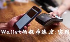 如何提高TPWallet的提币速度：实用技巧与心得
