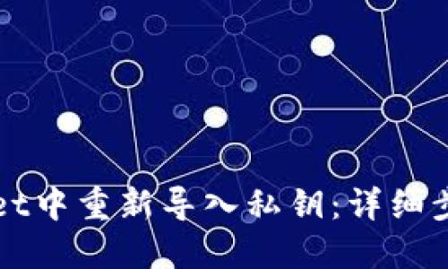 如何在TPWallet中重新导入私钥：详细步骤与实用技巧