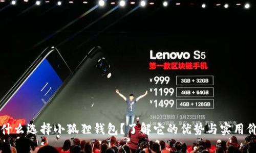 为什么选择小狐狸钱包？了解它的优势与实用价值