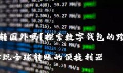 tpwallet能转国外吗？探索数字钱包的跨国转账之路