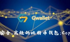 如何搭建一个安全、高效的比特币钱包：Copay的实