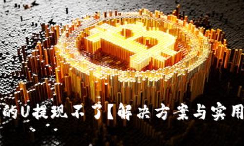 tpwallet里的U提现不了？解决方案与实用技巧全解析