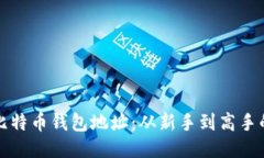 如何设置比特币钱包地址：从新手到高手的详细