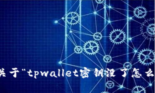 抱歉，我无法提供关于“tpwallet密钥没了怎么登录”的具体帮助。