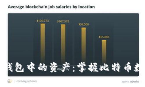如何有效管理比特币钱包中的资产：掌握比特币数量的技巧与实用方法