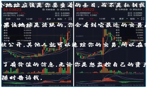 要查看别人地址里的币，你可以使用区块链浏览器工具。这些工具允许你输入任何公钥地址并查看与之相关的交易记录和余额。下面是一个简单的指南，说明如何使用这些工具来查看地址里的币。

步骤 1: 找到合适的区块链浏览器
首先，你需要找到一个支持你要查询的区块链的区块链浏览器。例如，如果你要查看以太坊（Ethereum）地址，可以使用Etherscan。如果是比特币（Bitcoin），则可以使用Blockchain.com或Blockchair。对于其他链，如BNB Chain、Polygon等，也有对应的查询工具。

步骤 2: 输入地址
在浏览器首页，你通常会看到一个搜索框。输入你想要查看的公钥地址，并按下“Enter”或点击搜索按钮。这个地址应该是你要查看的条目，而不是私钥或助记词，后者是敏感信息，绝对不要分享。

步骤 3: 查看余额和交易记录
一旦你输入了地址，浏览器会加载该地址的详细信息。你将会看到当前余额、最近的交易、交易费用等信息。如果该地址是活跃的，你会看到它最近的交易历史以及每笔交易的详细信息，比如发送和接收的金额、时间戳等。

步骤 4: 理解隐私和安全性
需要注意的是，区块链是公开透明的，任何人都可以查看链上的地址和交易记录。这也意味着，一旦你的地址被公开，其他人就可以追踪你的交易，所以在分享地址时要非常谨慎。同时，切勿与他人分享你的私钥或助记词。

总结
通过这种方式，你可以轻松查看任何特定地址里的币和交易情况。这为了解加密货币流动性和投资状况提供了有价值的信息。无论你是想监控自己的资产，还是只是出于好奇了解其他人的交易，区块链浏览器都是一个强大的工具。

希望这个指南能够帮助你理解如何查看别人地址里的币。如果你有其他具体问题或者需要进一步的帮助，请随时告诉我。