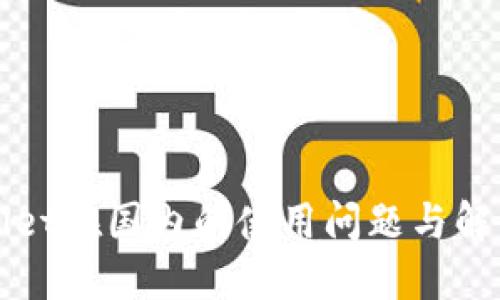 TPWallet在国内的使用问题与解决方案