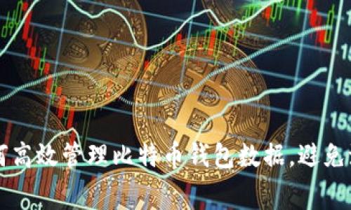 如何高效管理比特币钱包数据，避免浪费