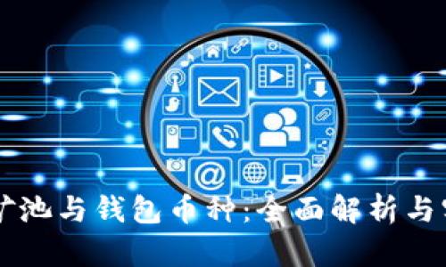 以太坊矿池与钱包币种：全面解析与实用指南