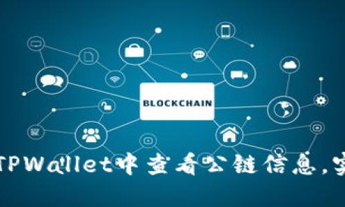如何在TPWallet中查看公链信息，实用指南