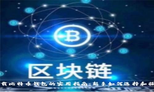 下载比特币钱包的实用指南：新手如何选择和操作