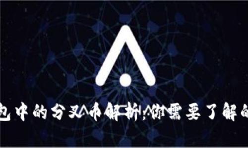 比特币钱包中的分叉币解析：你需要了解的实用信息