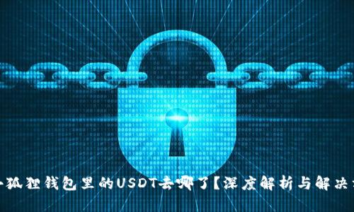 : 小狐狸钱包里的USDT去哪了？深度解析与解决方案