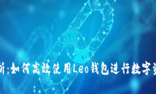 全面解析：如何高效使用Leo钱包进行数字资产管理