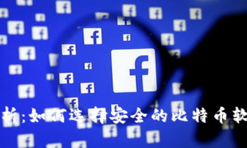全面解析：如何选择安全的比特币软件钱包