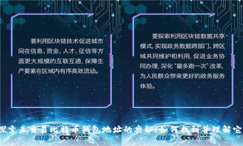  探索未交易比特币钱包地址的奥秘：如何找到并理解它们