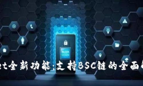 电脑版TPWallet全新功能：支持BSC链的全面解析与使用指南