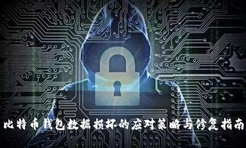 比特币钱包数据损坏的应对策略与修复指南