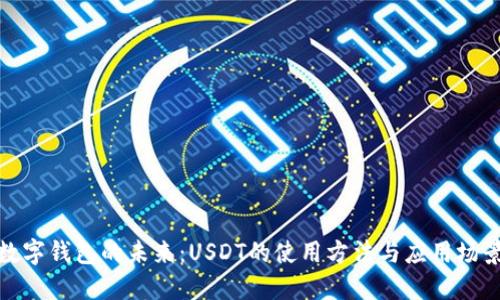 数字钱包的未来：USDT的使用方法与应用场景