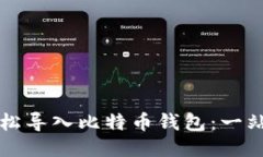 如何轻松导入比特币钱包：一站式指南