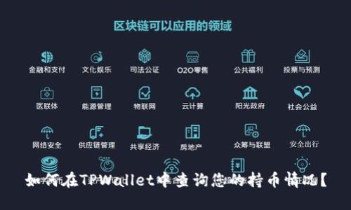 如何在TPWallet中查询您的持币情况？