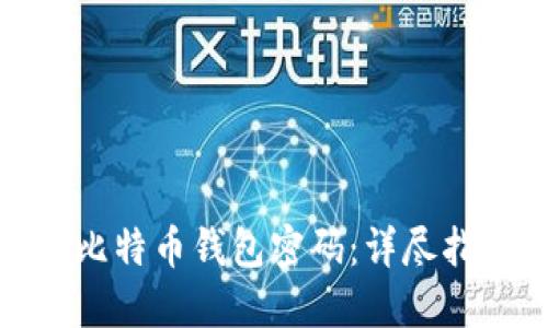 如何找回你的比特币钱包密码：详尽指南与实用建议