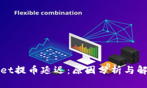 TPWallet提币延迟：原因分析与解决策略