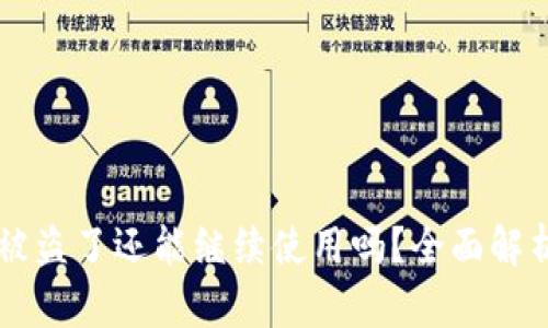 : TPWallet被盗了还能继续使用吗？全面解析与防护指南