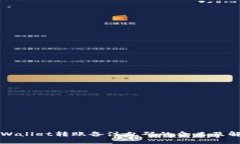 解读TPWallet转账备注乱码的