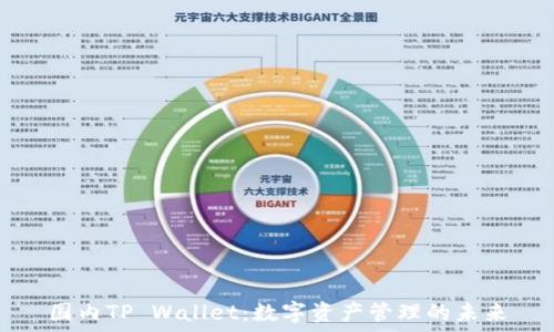  
国内TP Wallet：数字资产管理的未来