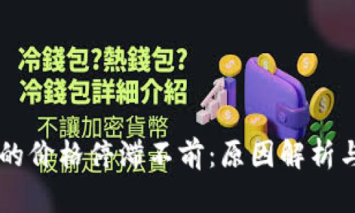 TPWallet的价格停滞不前：原因解析与未来展望