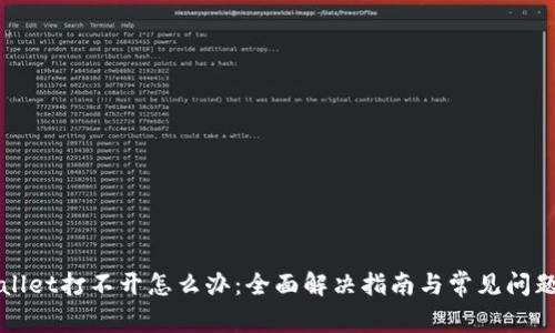 TPWallet打不开怎么办：全面解决指南与常见问题解析