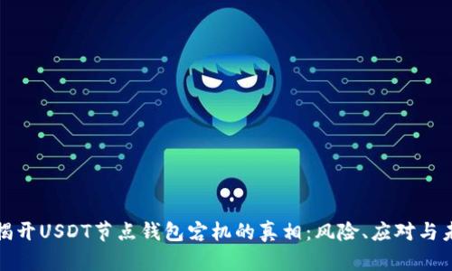 : 揭开USDT节点钱包宕机的真相：风险、应对与未来