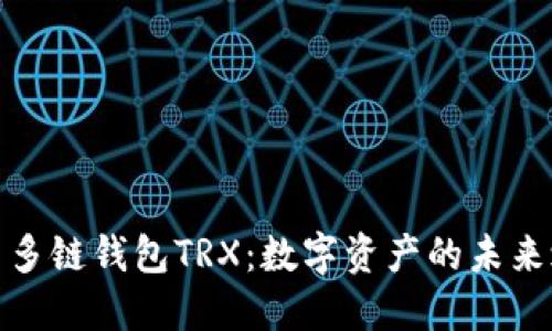 探索多链钱包TRX：数字资产的未来之钥