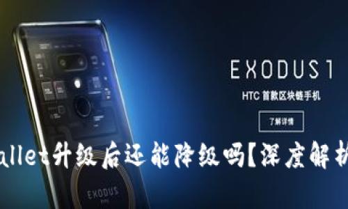 ### TPWallet升级后还能降级吗？深度解析与实用指南